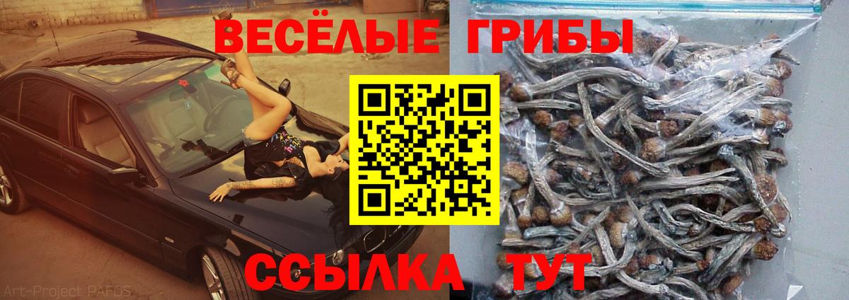 Видное  Псилоцибиновые грибы ЛСД  Вход с VPN 